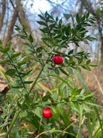 sortie nature 11 01 24 (17)