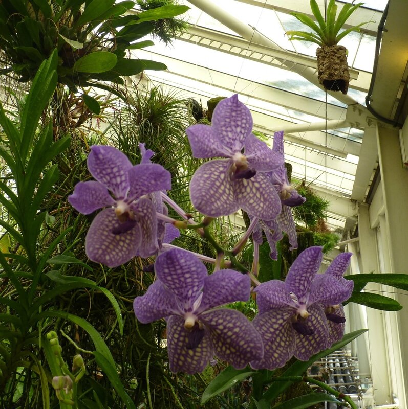 P1060072 (2)
