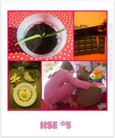 HSE5