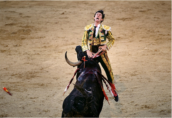 toreador