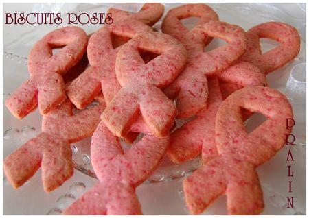 BISCUITS_PRALIN_X