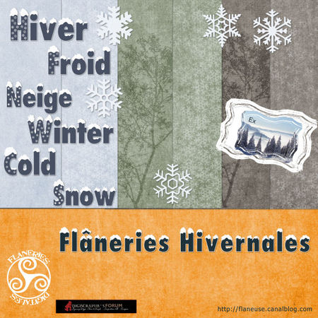 FlaneriesHivernales_Pres