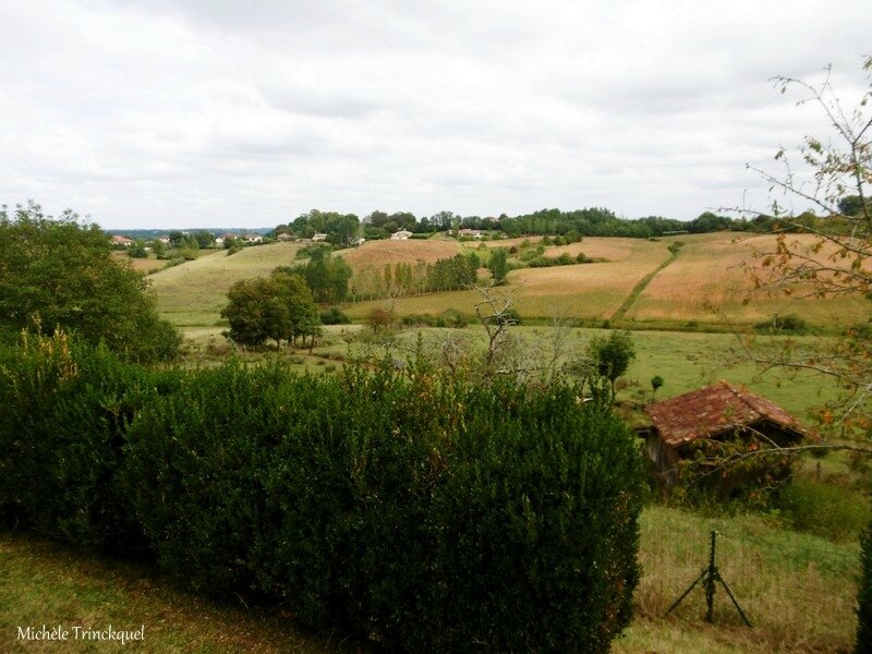 1-Musée de la Chalosse à MONTFORT 050917