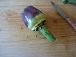 salade_printani_re__5_
