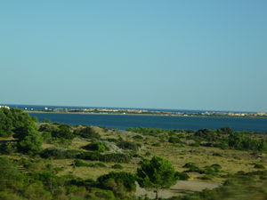 P1020616