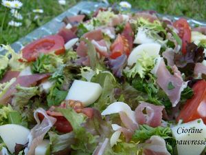 salade_herbe_1
