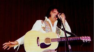 Elvis & his guitar 1976