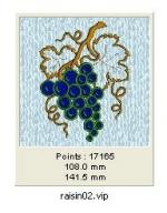 raisin02