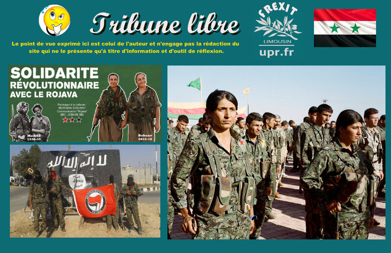 TL ROJAVA DEBAT