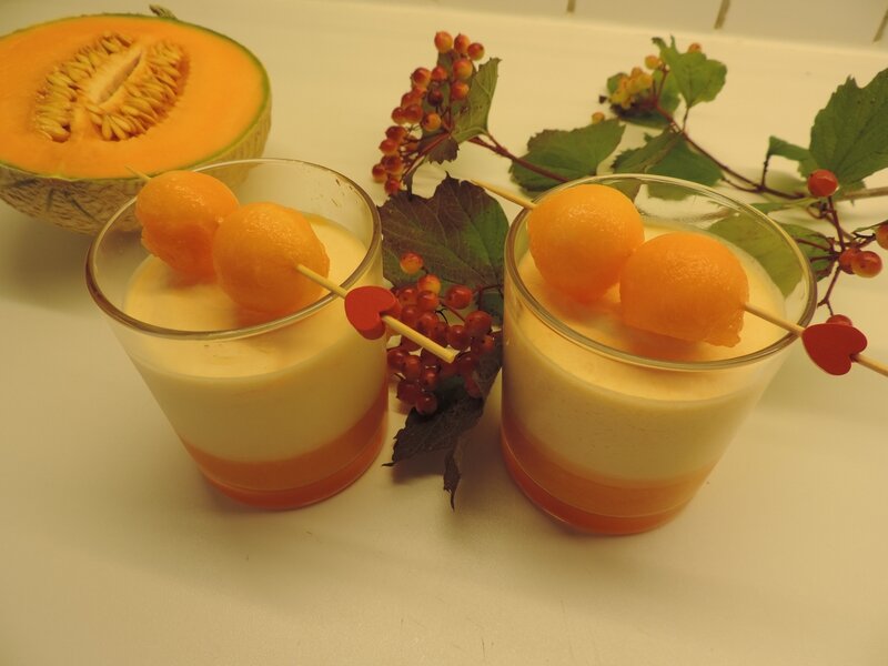 mousse de melon (10)