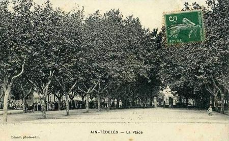 Ain_tedeles_02