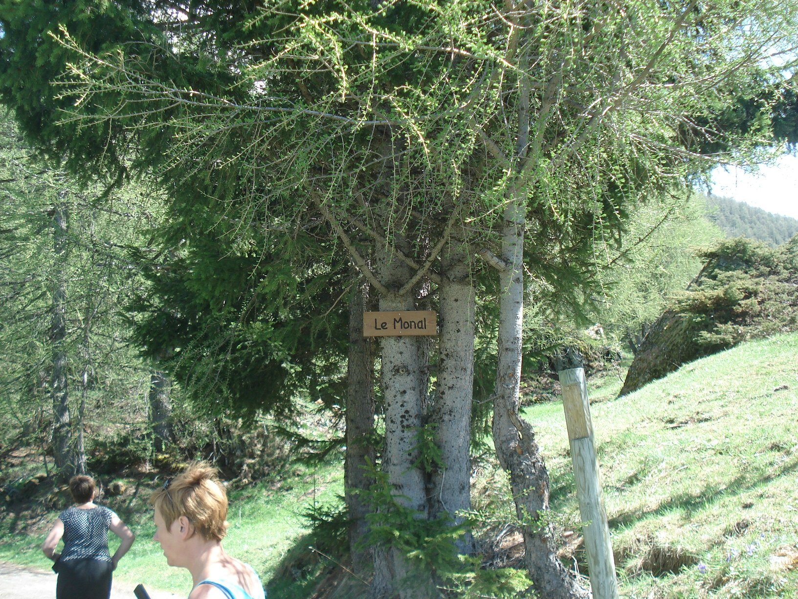 DSC05995
