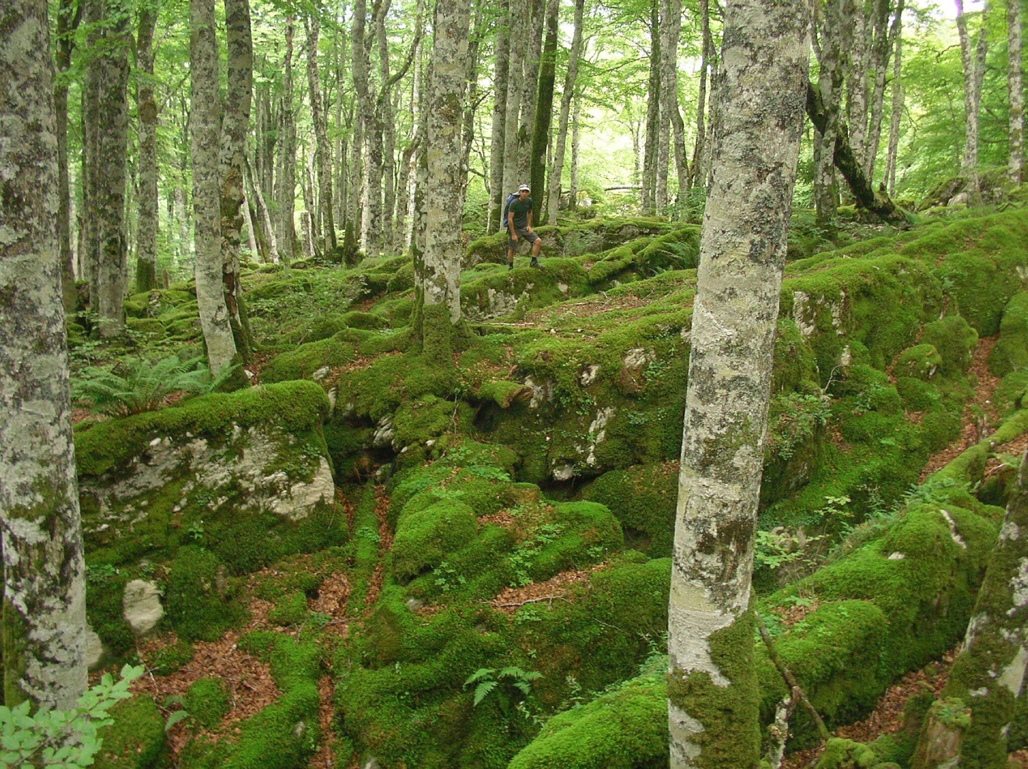 Urkulu-aout15-052