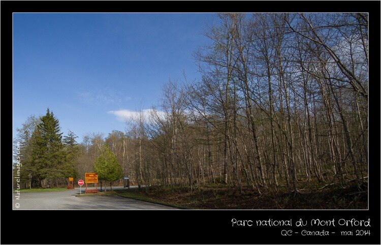 IMG_2606-naturelimages.com