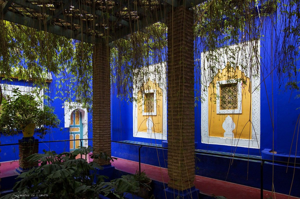w_Majorelle_Patio_20170929_6462
