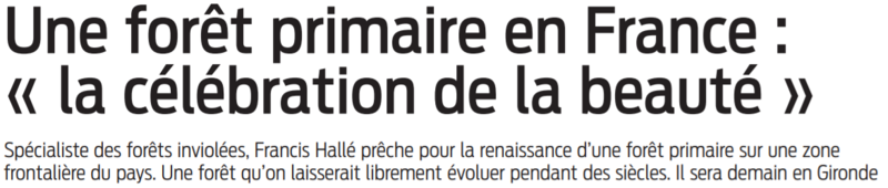 2021 11 28 SO Une forêt primaire en France la célébration de la beauté