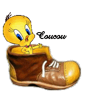 titi_chaussure_coucou