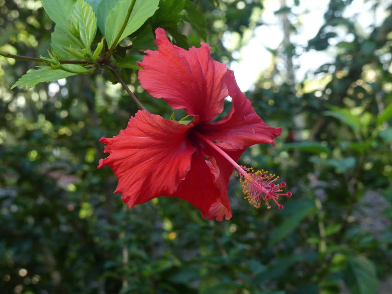 P1230717