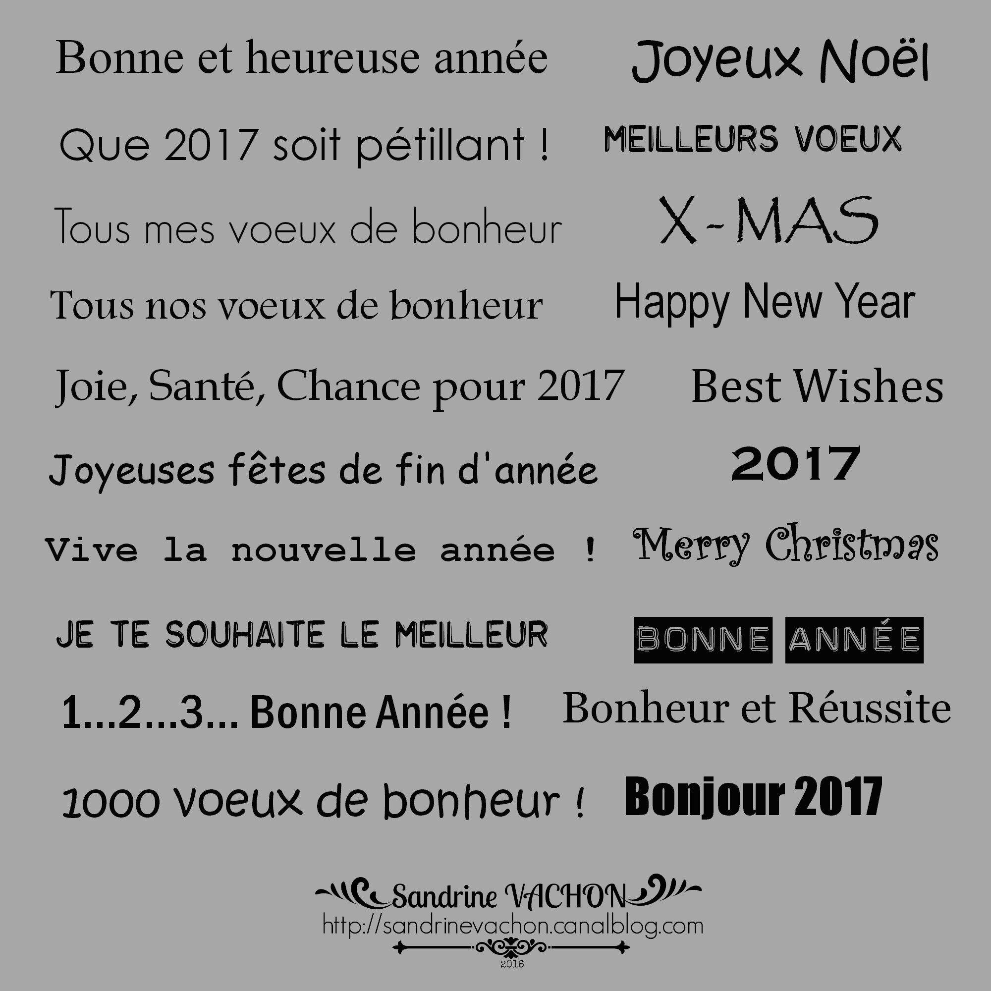 Sandrine VACHON planche 61