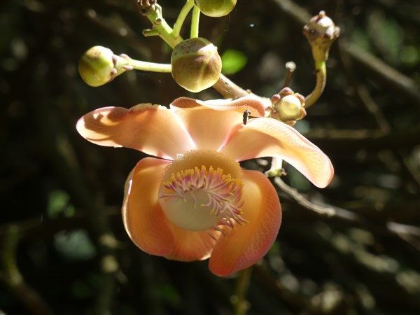 P1270131