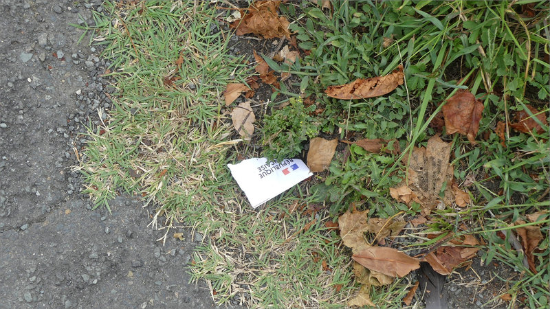 Déchets papier rue 300823 2 République 3