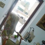 2013-02-1111