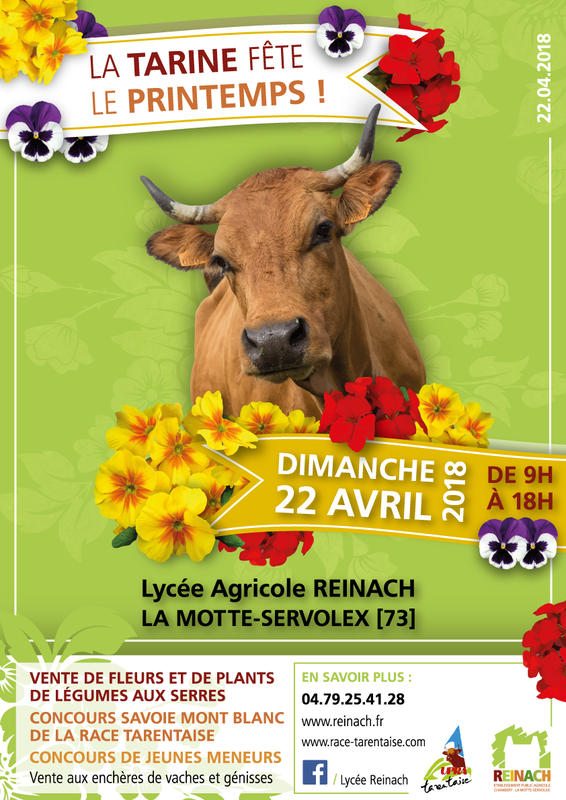 Affiche-Reinach-La-tarine-fête-le-printemps-export-web