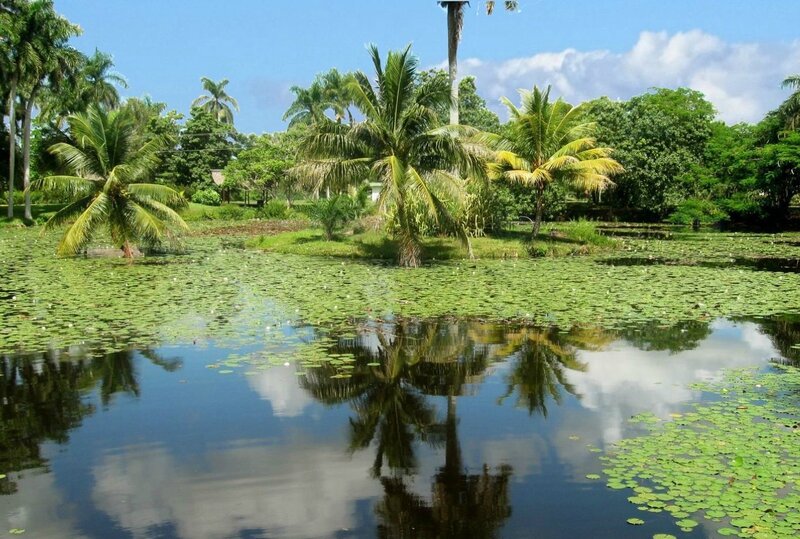 lagune de Guama ferme aux crocodiles