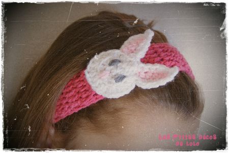 bandeaulapin1
