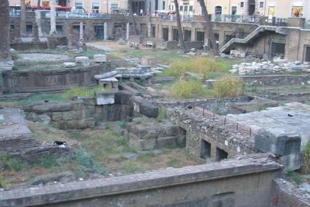 Roma forum 2