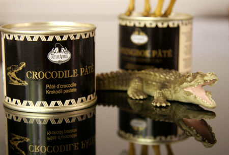 p_t__de_crocodile