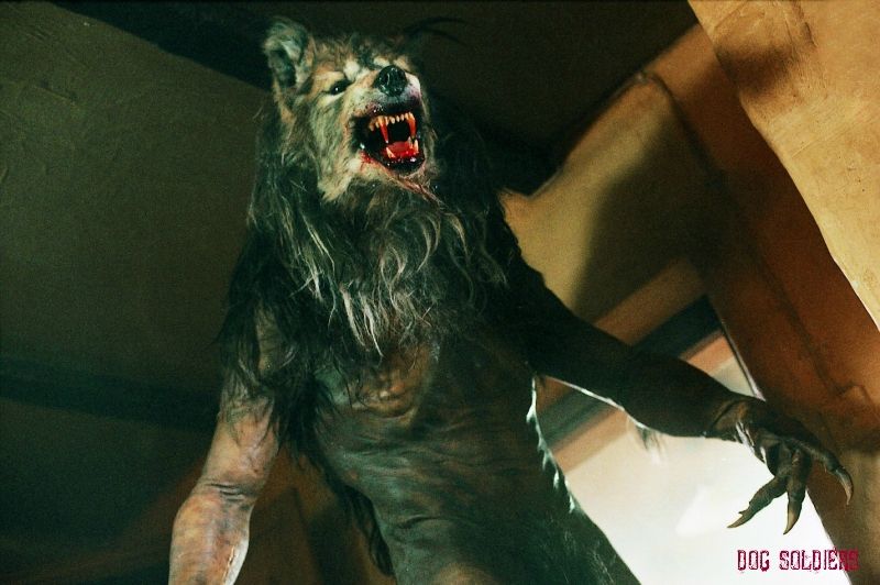 DOG SOLDIERS 4