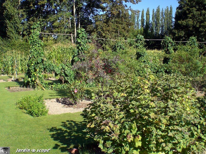 Le Potager de Sasnières