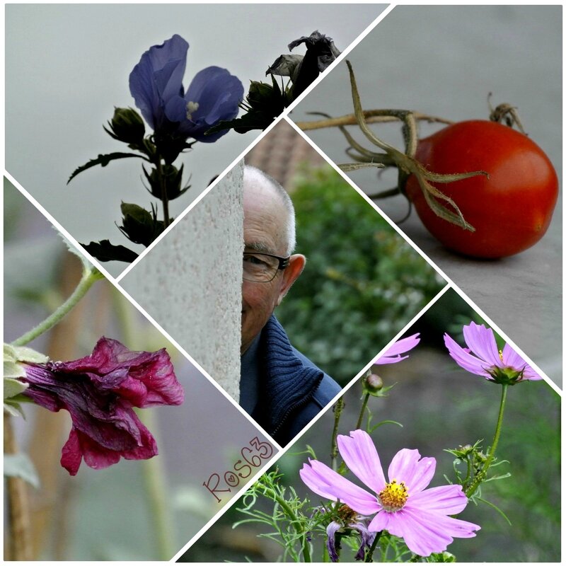 Je suis épiéeRose63