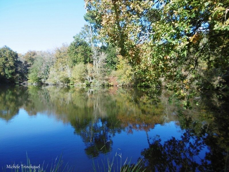 Etangs des Gravières 141117