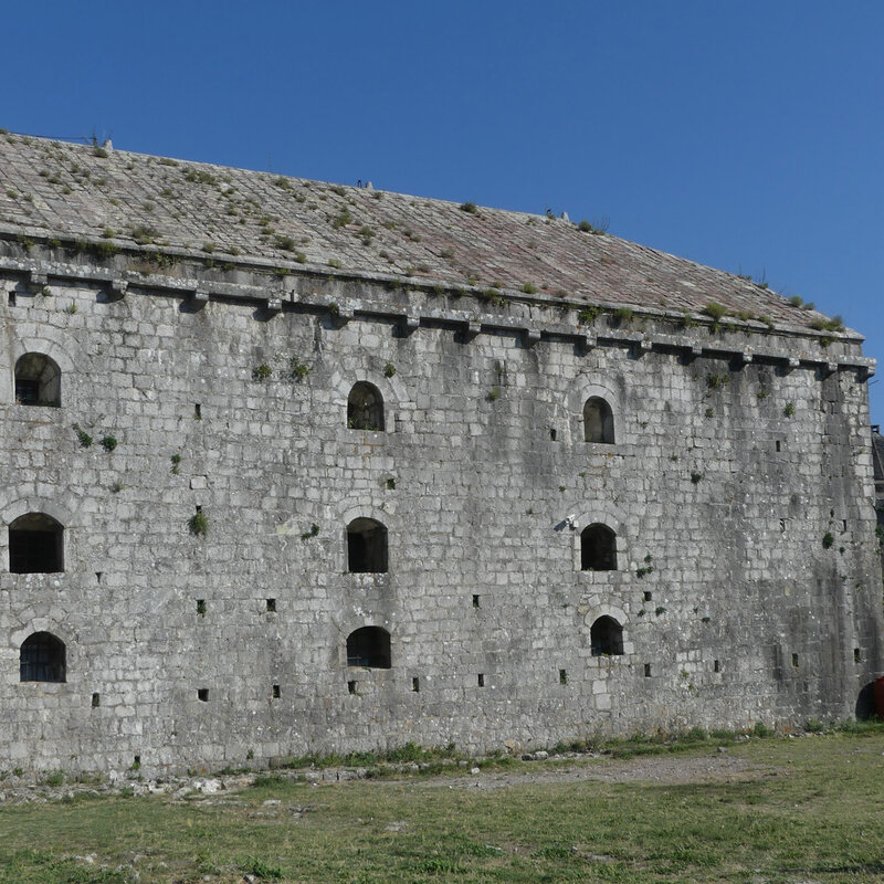 P1140246 (2)