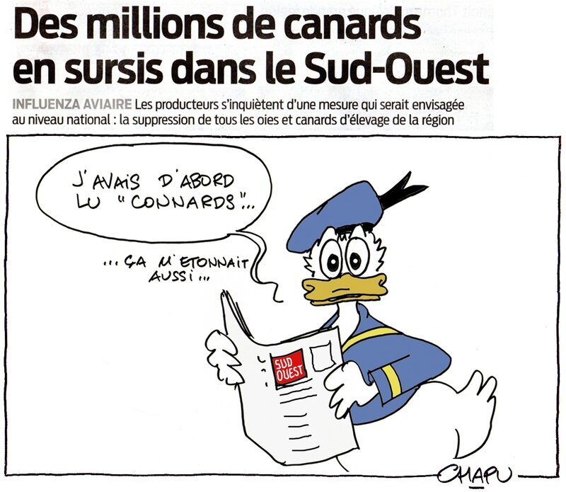 14-Canards