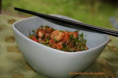 crevettes_sautees_courgette_concombre3