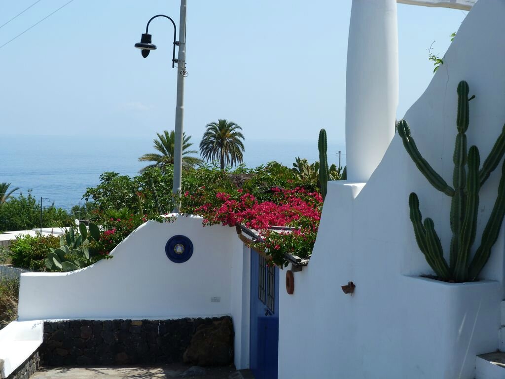 P1000993