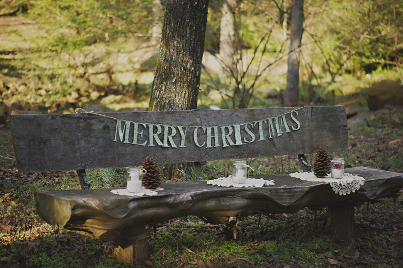 christmas_proposal_16