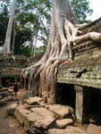 PPenh_Angkor1_159023