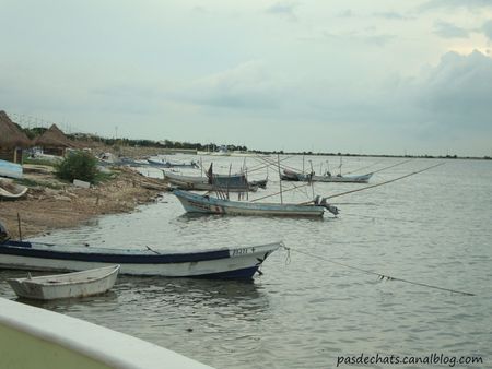 campeche16__1024x768_