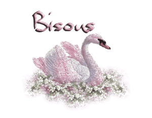 BISOUS_cygne