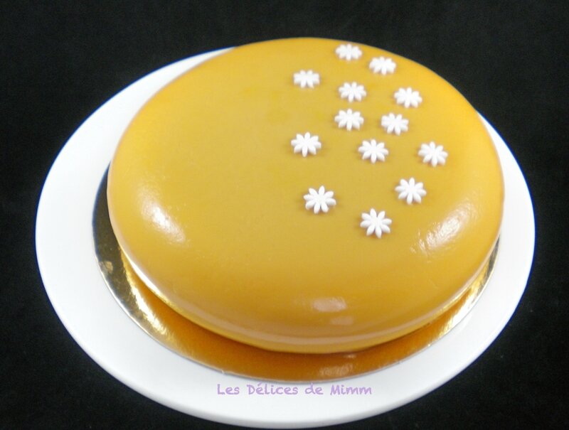 xMon entremet pommes, caramel et chocolat Dulcey 3