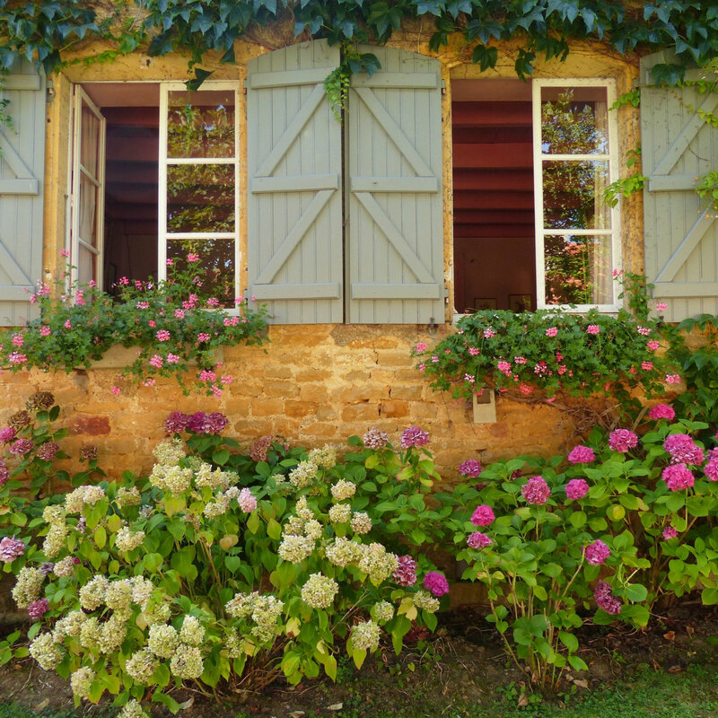 a FENETRES PORTES FLEURIES2