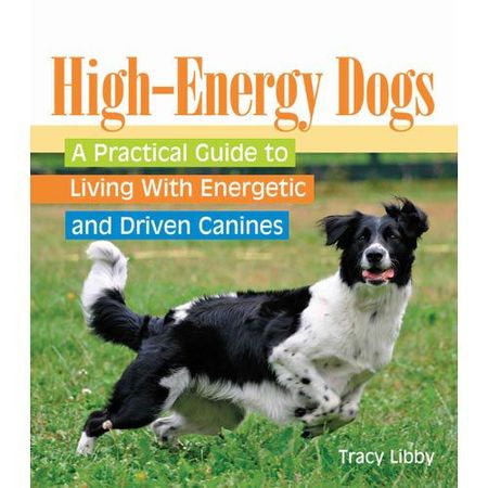high-energy dogs