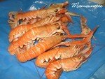 Langoustines___la_fondue_de_poireaux_et_carottes_003