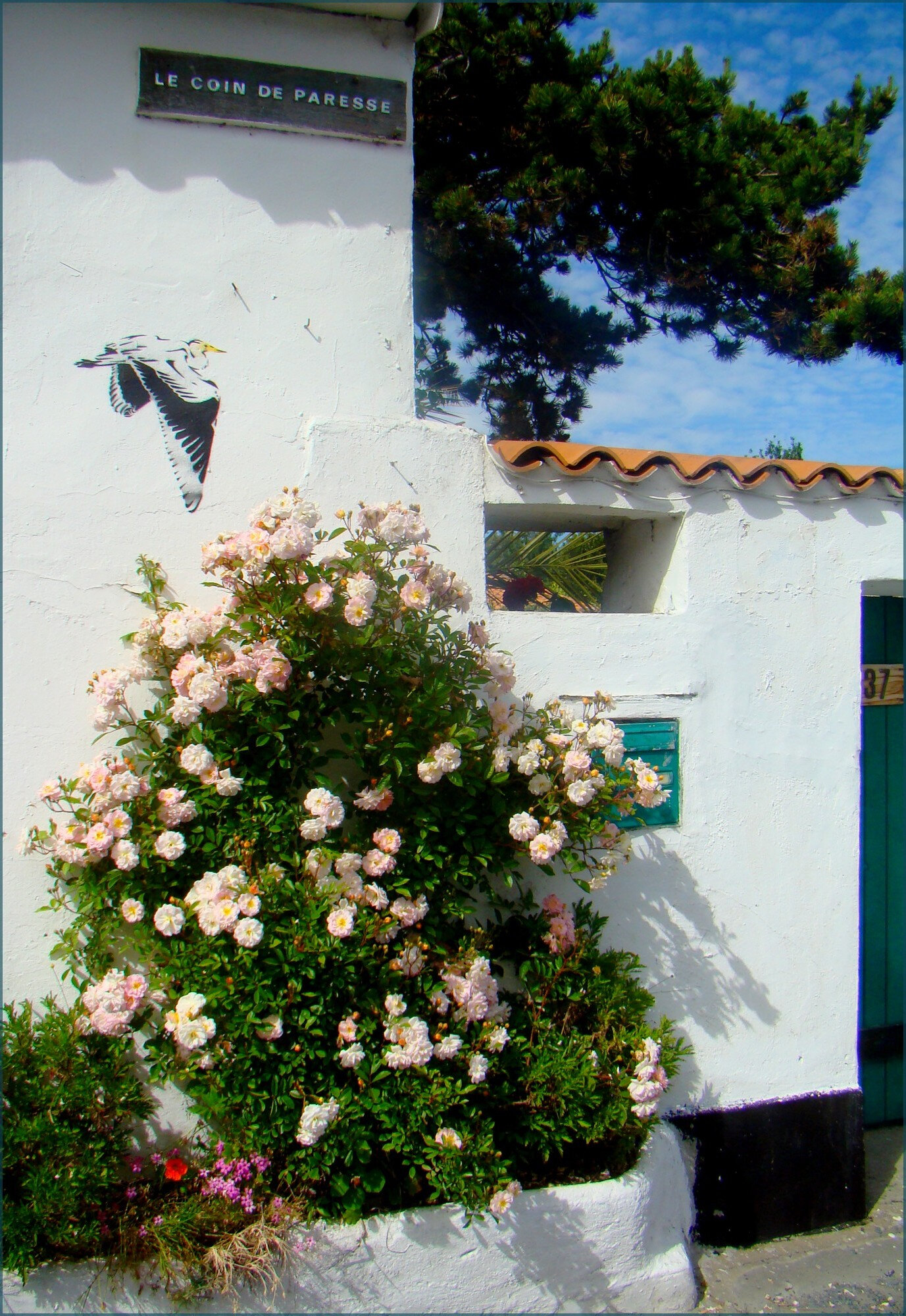 cathy_plaque0