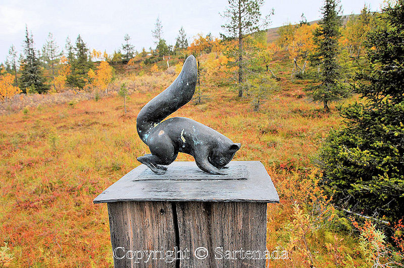 Nature_Path_Pallastunturi_Lapland_ (5)