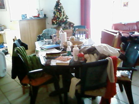 090125_s_jour_table